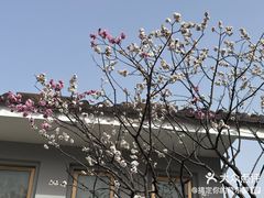 -无锡梅园公园