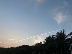 -深圳湾公园(南山区)