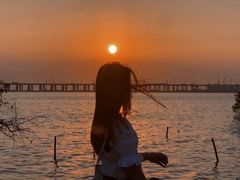 -宝安西湾红树林湿地公园