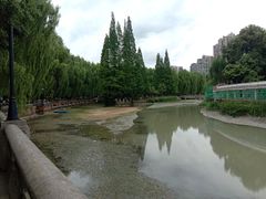 -温江公园