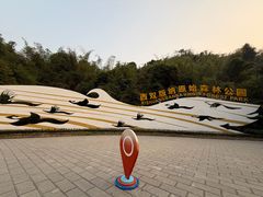 -西双版纳原始森林公园