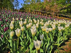 -长春公园(普阳街道)