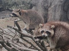 -宁波野生动物园