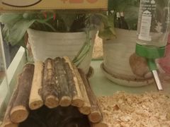 -龙猫仔乐园(惠福东路店)