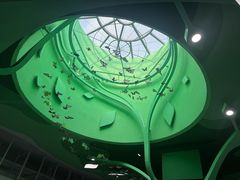 -西涌国际滨海旅游区