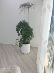-HEYAN荷妍专业脱毛连锁机构