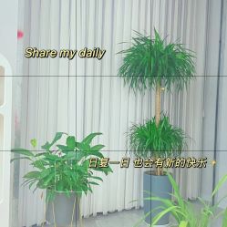 -0 SPA科技美肤·Valmont法儿曼品牌