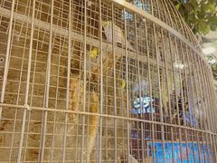 -东四民芳餐厅(世茂工三店)