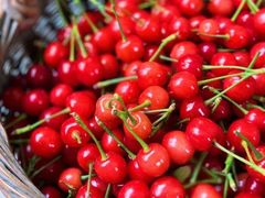 -北宅大永樱桃采摘基地(崂山总部)