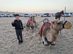 -迪拜沙漠冲沙