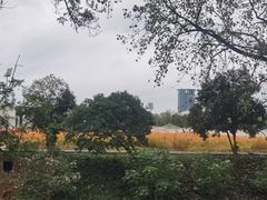 -浙江大学(紫金港校区)