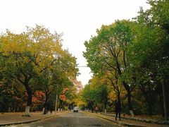 -吉林大学(南岭校区)
