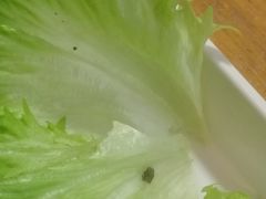 -村夫烤鱼·重庆鸡公煲(杨思店)