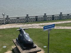 -观潮胜地公园