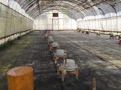 -前小桔亲子创意农场·草莓采摘·露营烧烤