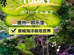 -泉城欧乐堡海洋极地世界