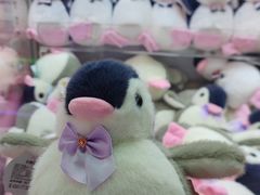 -汤姆熊欢乐世界(光启城店)