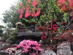 -枇杷园食为鲜火锅(南山店)