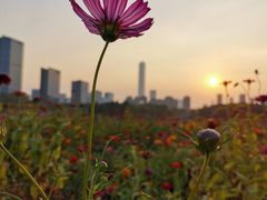 -白塘生态植物园