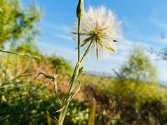 -野鸭湖国家湿地公园