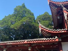 -乌山风景区