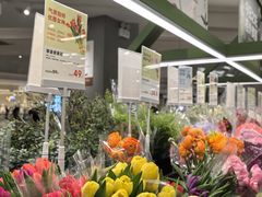 -鹿岛生活(熙地港店)