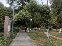 -花溪公园