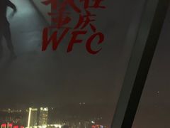 -WFC会仙楼观景台