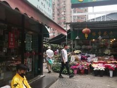 -曲阳花鸟市场(曲阳路店)