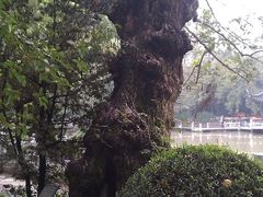 景点-汇龙潭