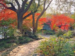 -宝界山林公园