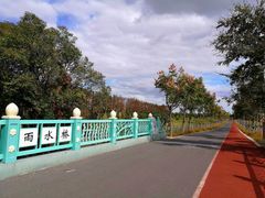 -上海长兴岛郊野公园