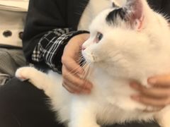 -宠颐生汉谟拉比宠物医院