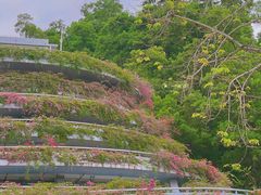 -深圳仙湖植物园-停车场
