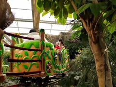 -南宫五洲植物乐园