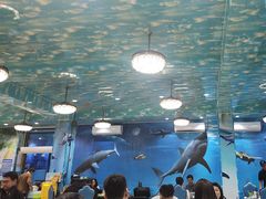 -小海豚•老字号海鲜餐厅(天涯店)