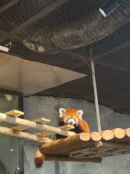 -Zoolung Zoolung动物主题公园(海信广场店)