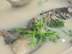 -紫藤园·天目湖大鱼头(南山竹海店)