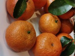 -城南往事·鲁菜济南菜(龙奥万科店)