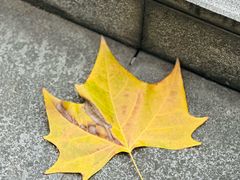 -重庆市江北嘴中央商务区中央公园