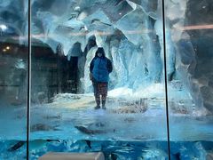 -帝企鹅自助餐厅•儿童岛•真企鹅(长隆企鹅酒店)