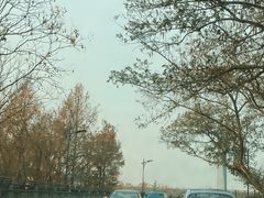 -钱塘江大桥