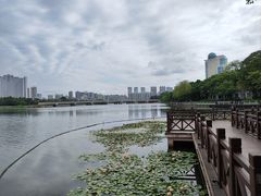 -南宁南湖公园