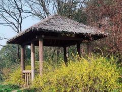 -宝界山林公园