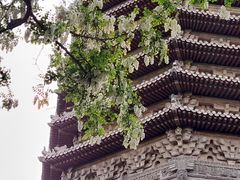-玲珑塔公园