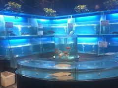 -眉州东坡(北苑华贸店)