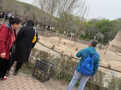 -哈尔滨北方森林动物园