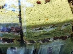 抹茶红豆-竹桥村宫廷糕点(西站店)