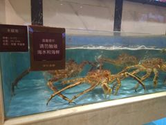 -徐记海鲜(开福寺|伍家岭店)