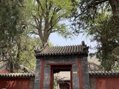 -泰山风景名胜区-普照寺